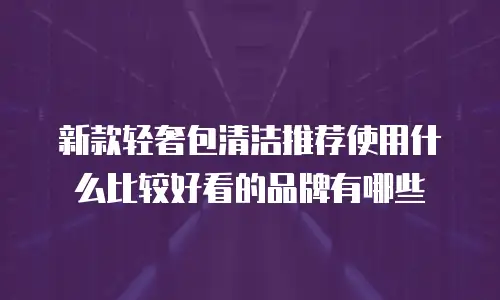 新款轻奢包清洁推荐使用什么比较好看的品牌有哪些