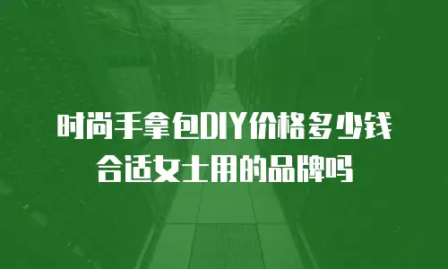 时尚手拿包DIY价格多少钱合适女士用的品牌吗