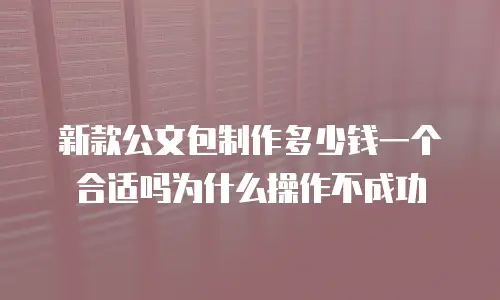 新款公文包制作多少钱一个合适吗为什么操作不成功