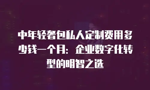 中年轻奢包私人定制费用多少钱一个月：企业数字化转型的明智之选