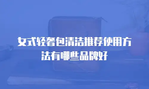 女式轻奢包清洁推荐使用方法有哪些品牌好