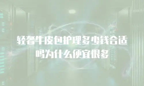 轻奢牛皮包护理多少钱合适吗为什么便宜很多