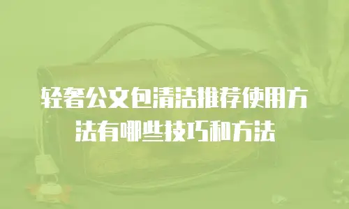 轻奢公文包清洁推荐使用方法有哪些技巧和方法