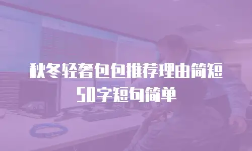 秋冬轻奢包包推荐理由简短50字短句简单
