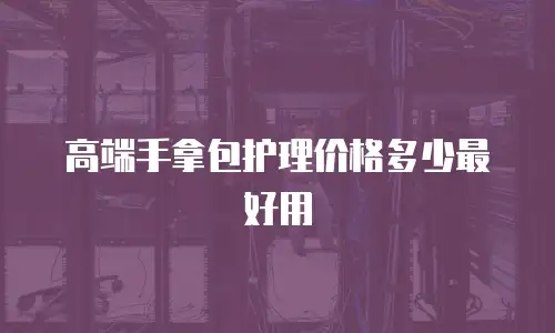 高端手拿包护理价格多少最好用
