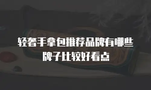 轻奢手拿包推荐品牌有哪些牌子比较好看点