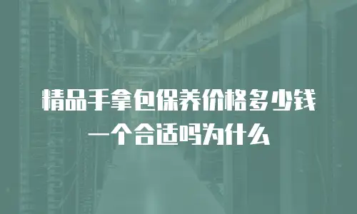 精品手拿包保养价格多少钱一个合适吗为什么