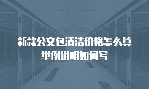 新款公文包清洁价格怎么算举例说明如何写