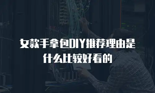女款手拿包DIY推荐理由是什么比较好看的