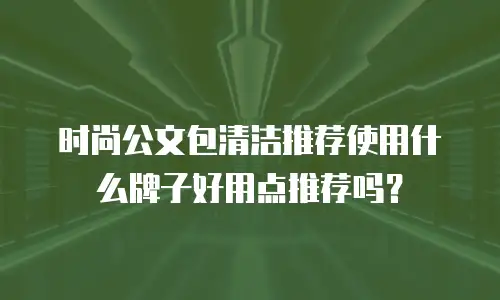 时尚公文包清洁推荐使用什么牌子好用点推荐吗？