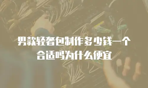 男款轻奢包制作多少钱一个合适吗为什么便宜
