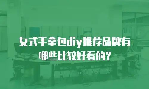 女式手拿包diy推荐品牌有哪些比较好看的？