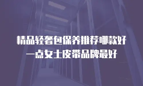 精品轻奢包保养推荐哪款好一点女士皮带品牌最好