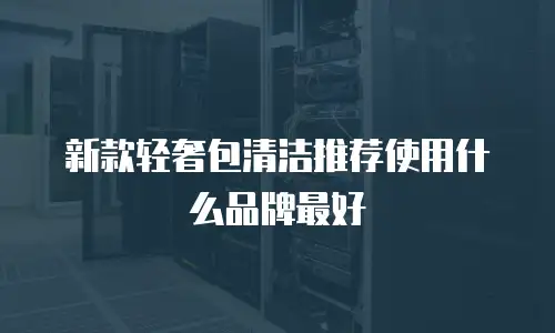 新款轻奢包清洁推荐使用什么品牌最好