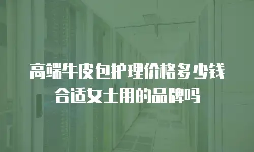 高端牛皮包护理价格多少钱合适女士用的品牌吗