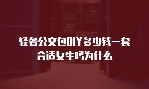 轻奢公文包DIY多少钱一套合适女生吗为什么