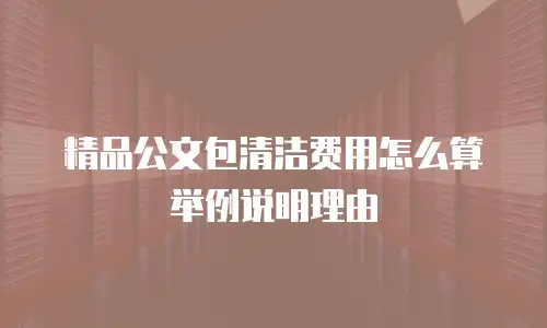 精品公文包清洁费用怎么算举例说明理由