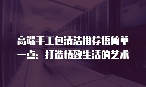 高端手工包清洁推荐语简单一点：打造精致生活的艺术