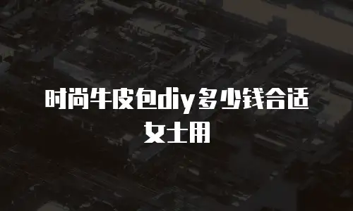 时尚牛皮包diy多少钱合适女士用