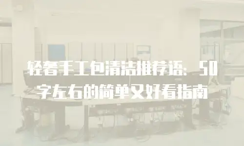 轻奢手工包清洁推荐语：50字左右的简单又好看指南