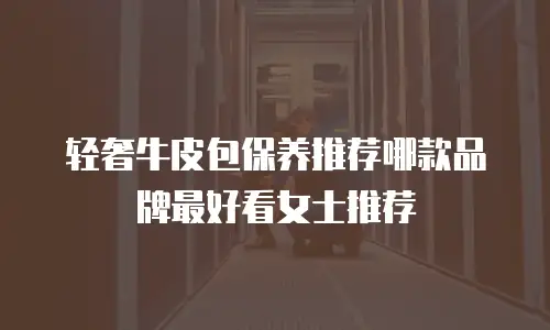 轻奢牛皮包保养推荐哪款品牌最好看女士推荐