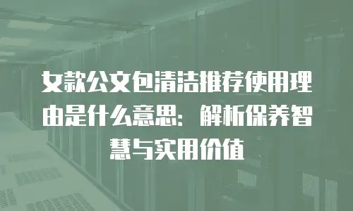 女款公文包清洁推荐使用理由是什么意思：解析保养智慧与实用价值