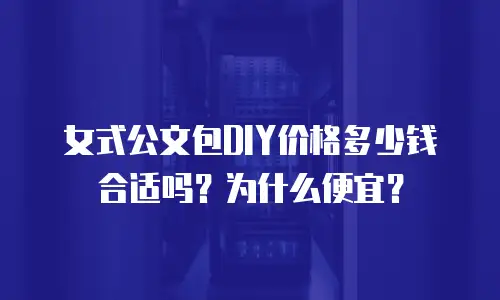 女式公文包DIY价格多少钱合适吗？为什么便宜？