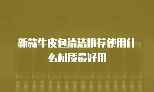新款牛皮包清洁推荐使用什么材质最好用