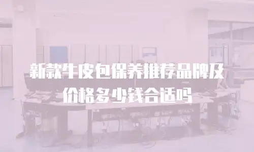 新款牛皮包保养推荐品牌及价格多少钱合适吗