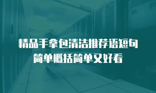 精品手拿包清洁推荐语短句简单概括简单又好看