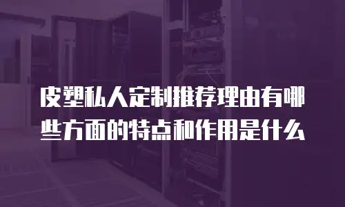 皮塑私人定制推荐理由有哪些方面的特点和作用是什么