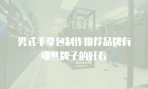 男式手拿包制作推荐品牌有哪些牌子的好看