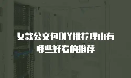 女款公文包DIY推荐理由有哪些好看的推荐