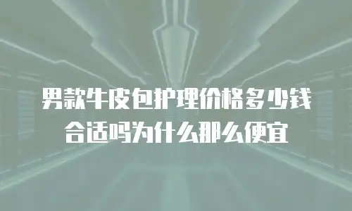 男款牛皮包护理价格多少钱合适吗为什么那么便宜