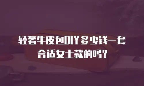 轻奢牛皮包DIY多少钱一套合适女士款的吗？