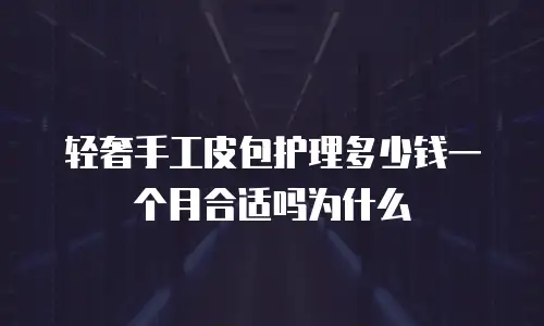 轻奢手工皮包护理多少钱一个月合适吗为什么