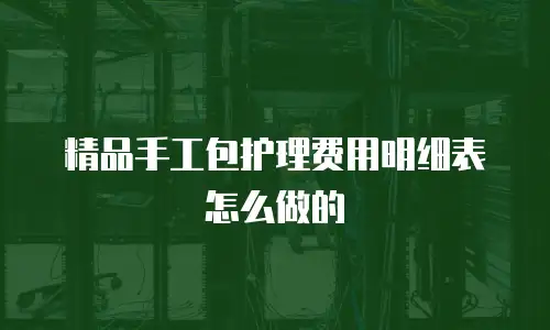 精品手工包护理费用明细表怎么做的