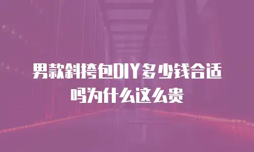 男款斜挎包DIY多少钱合适吗为什么这么贵
