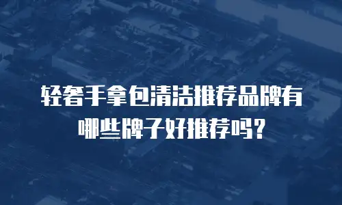轻奢手拿包清洁推荐品牌有哪些牌子好推荐吗？
