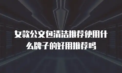 女款公文包清洁推荐使用什么牌子的好用推荐吗