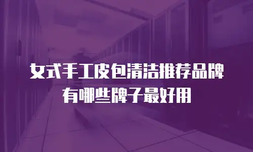 女式手工皮包清洁推荐品牌有哪些牌子最好用