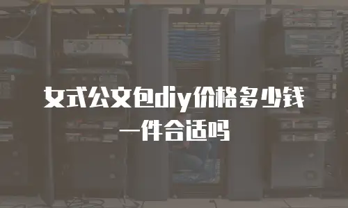 女式公文包diy价格多少钱一件合适吗