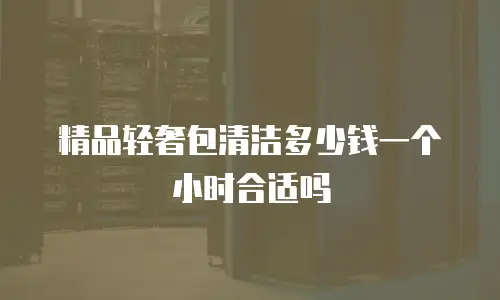 精品轻奢包清洁多少钱一个小时合适吗