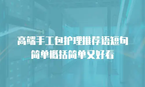 高端手工包护理推荐语短句简单概括简单又好看