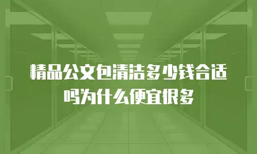 精品公文包清洁多少钱合适吗为什么便宜很多