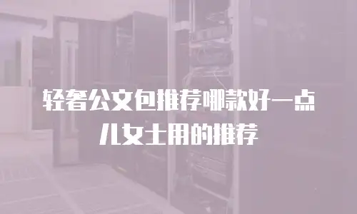 轻奢公文包推荐哪款好一点儿女士用的推荐
