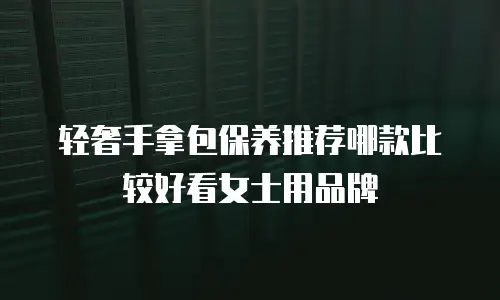 轻奢手拿包保养推荐哪款比较好看女士用品牌