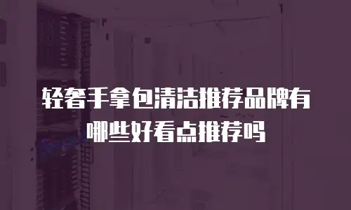 轻奢手拿包清洁推荐品牌有哪些好看点推荐吗