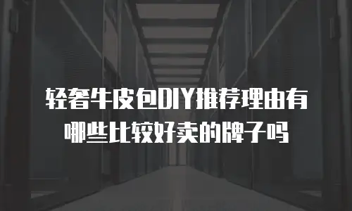 轻奢牛皮包DIY推荐理由有哪些比较好卖的牌子吗