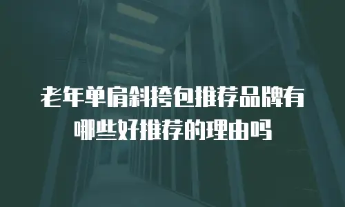 老年单肩斜挎包推荐品牌有哪些好推荐的理由吗